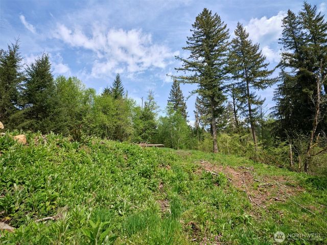 140 Skinner Road, Woodland, WA 98674