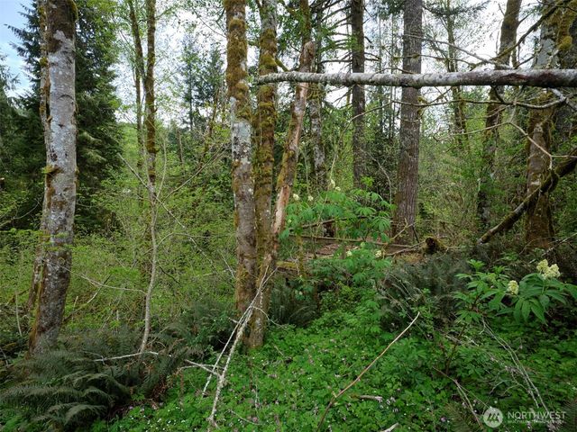 140 Skinner Road, Woodland, WA 98674