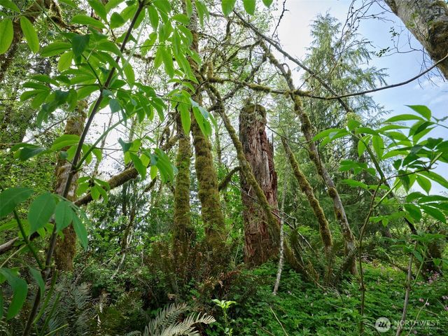 140 Skinner Road, Woodland, WA 98674