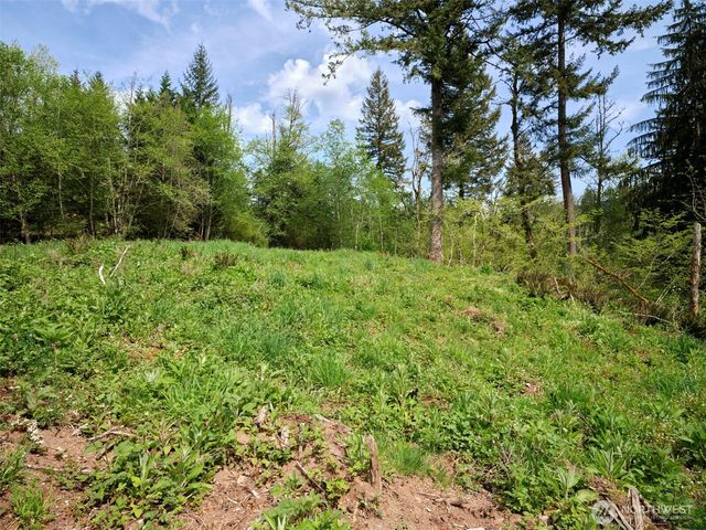 140 Skinner Road, Woodland, WA 98674
