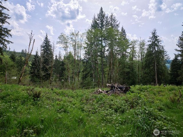 140 Skinner Road, Woodland, WA 98674