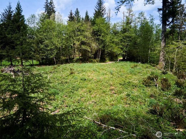 140 Skinner Road, Woodland, WA 98674