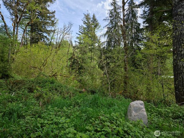 140 Skinner Road, Woodland, WA 98674