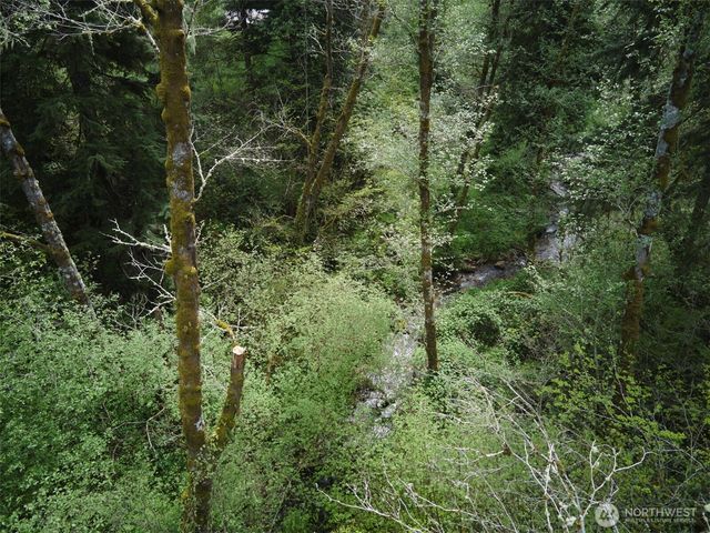 140 Skinner Road, Woodland, WA 98674
