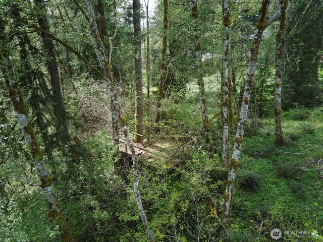 140 Skinner Road, Woodland, WA 98674