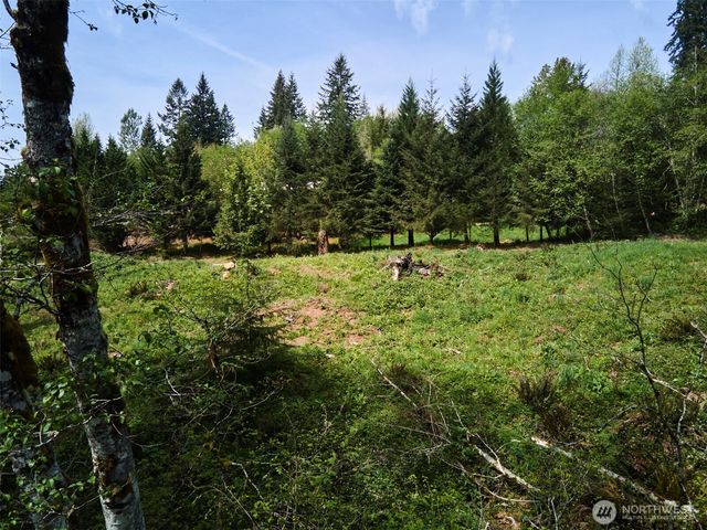 140 Skinner Road, Woodland, WA 98674