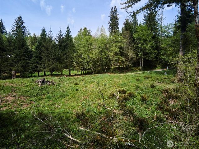 140 Skinner Road, Woodland, WA 98674