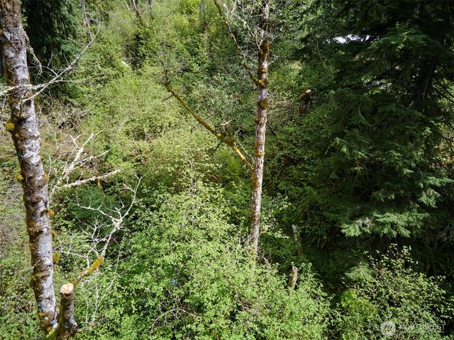 140 Skinner Road, Woodland, WA 98674