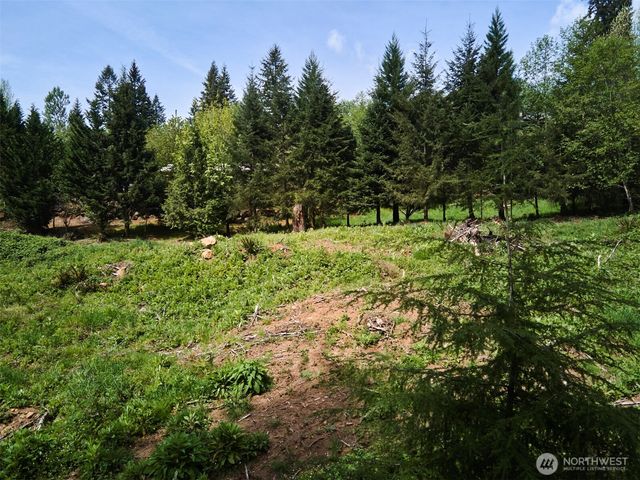 140 Skinner Road, Woodland, WA 98674
