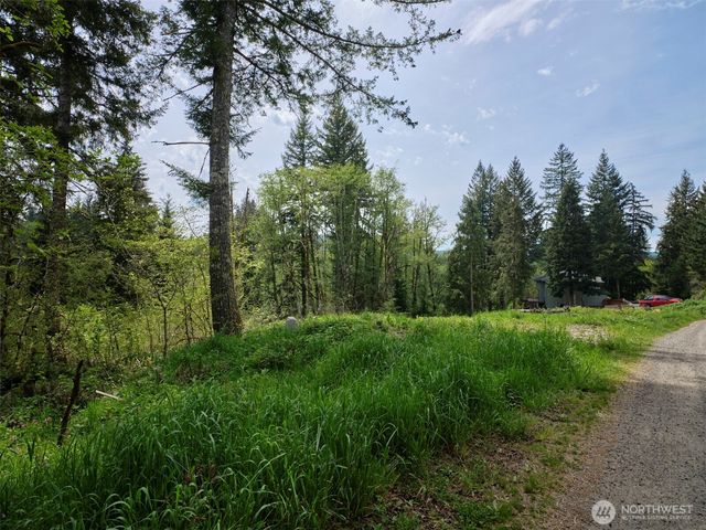 140 Skinner Road, Woodland, WA 98674