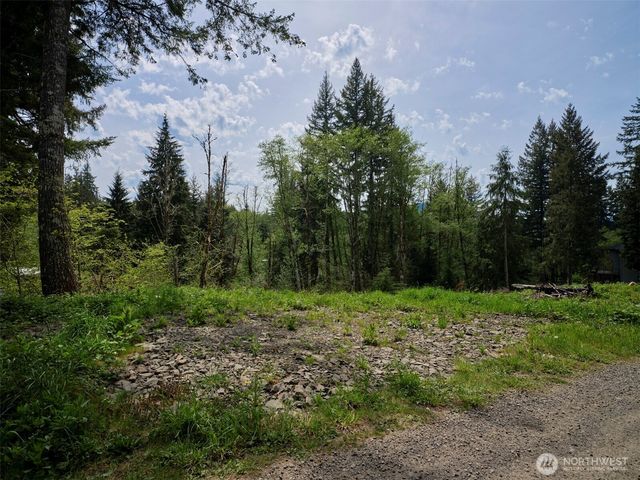 140 Skinner Road, Woodland, WA 98674