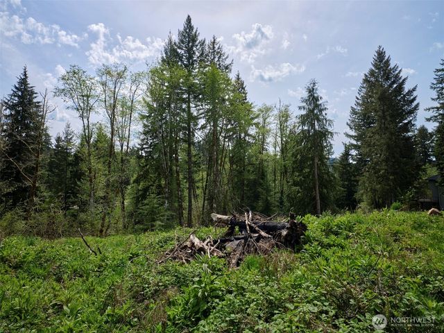 140 Skinner Road, Woodland, WA 98674
