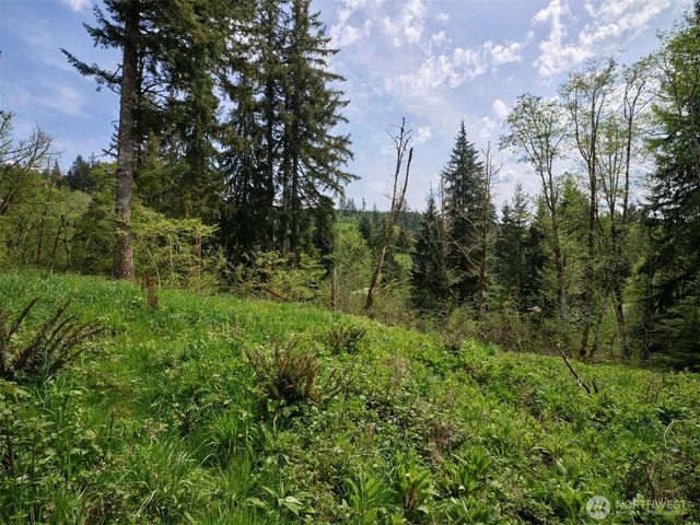 140 Skinner Road, Woodland, WA 98674