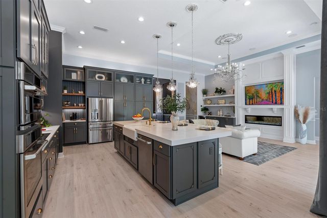 241 CONSERVATORY DRIVE, Palm Coast, FL 32137