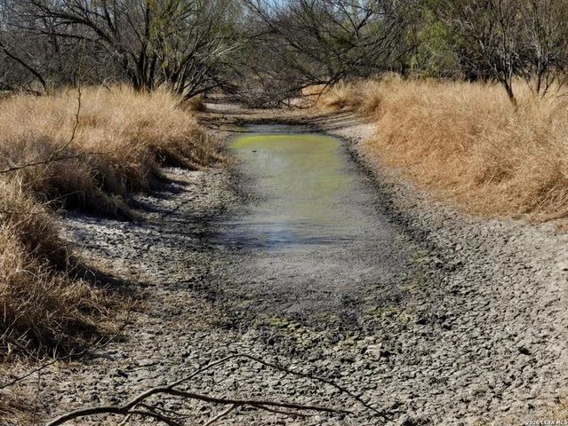 1297 Fm 1433, Carrizo Springs, TX 78834