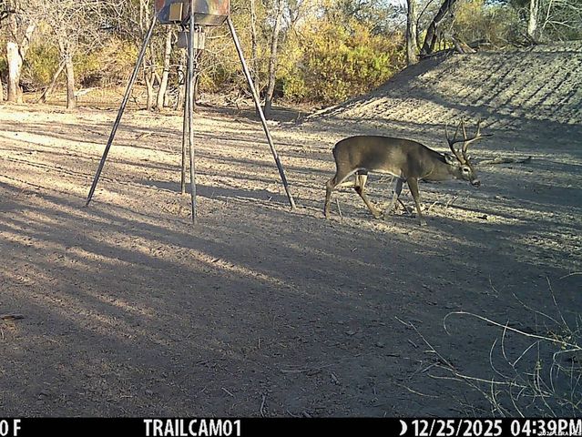 1297 Fm 1433, Carrizo Springs, TX 78834