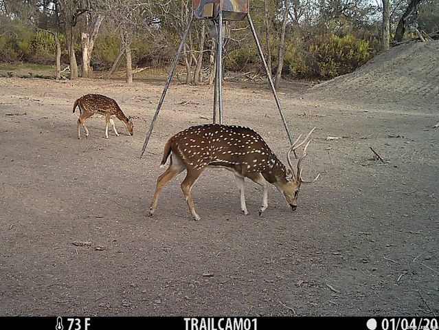 1297 Fm 1433, Carrizo Springs, TX 78834