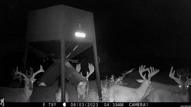 1297 Fm 1433, Carrizo Springs, TX 78834