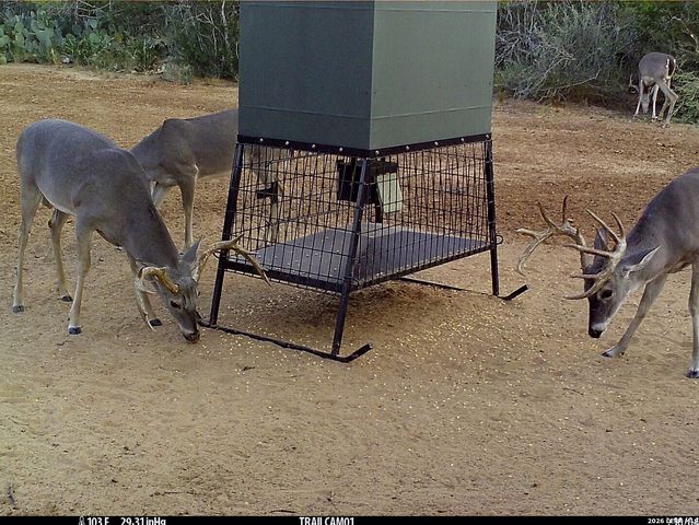 1297 Fm 1433, Carrizo Springs, TX 78834