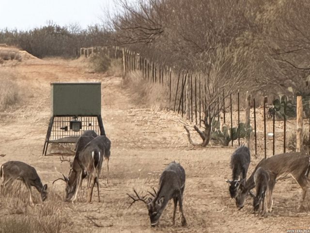 1297 Fm 1433, Carrizo Springs, TX 78834