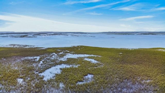 2068 Amenity Park Drive, Mount Pleasant, SC 29466