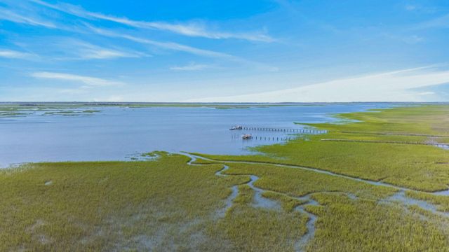 2068 Amenity Park Drive, Mount Pleasant, SC 29466