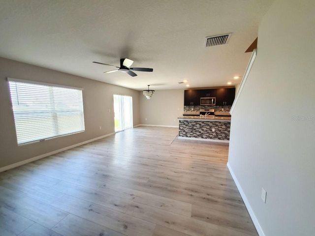 1014 GOLDEN SHINER AVENUE, Ruskin, FL 33570