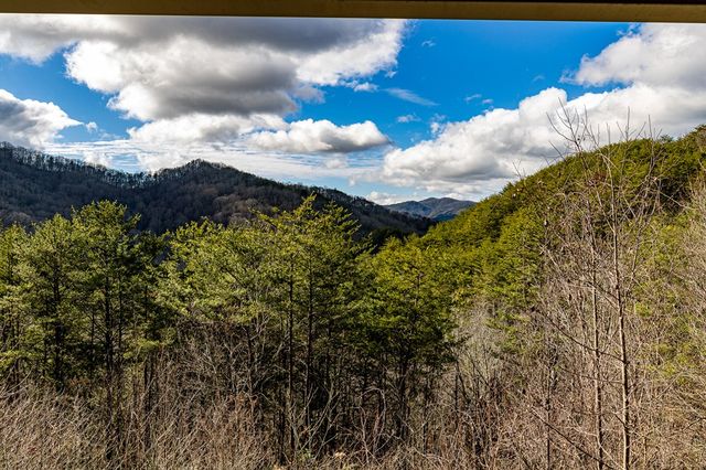 226 Shinbone Mountain, Turtletown, TN 37391