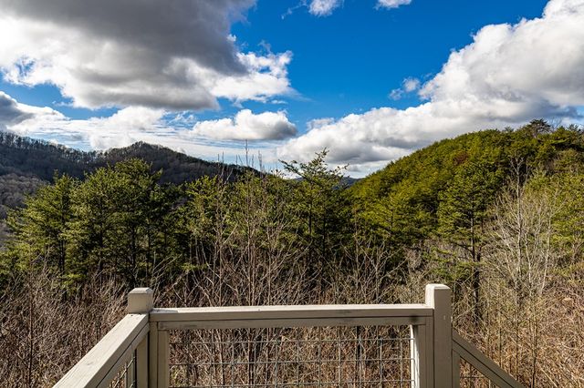 226 Shinbone Mountain, Turtletown, TN 37391