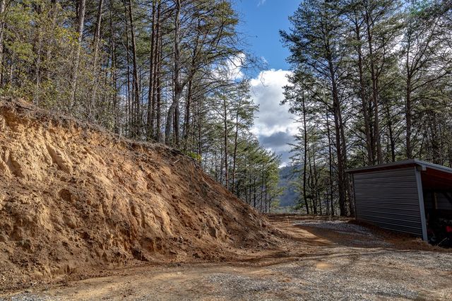 226 Shinbone Mountain, Turtletown, TN 37391