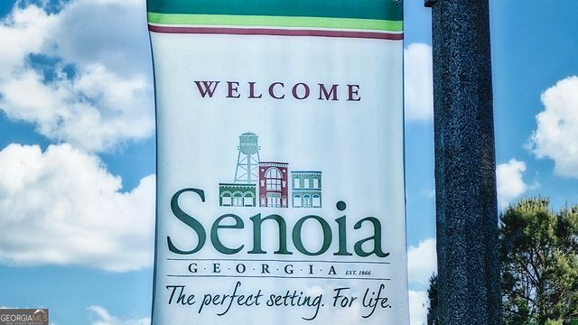 345 Staffin Drive, Senoia, GA 30276