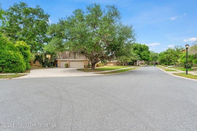 6153 NEW OSPREY POINT, Weeki Wachee, FL 34607