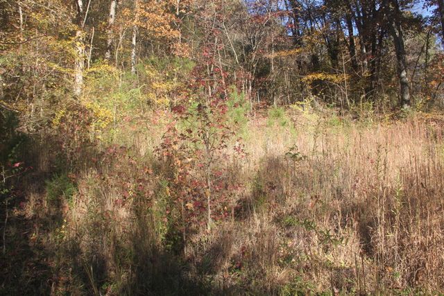 1101 Salem Road, Rossville, GA 30741