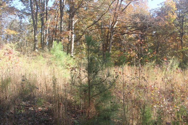 1101 Salem Road, Rossville, GA 30741