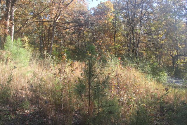 1101 Salem Road, Rossville, GA 30741