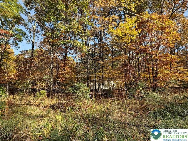228 Victory Lane, Jackson Twp, PA 18360