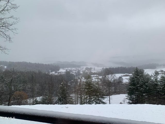 620 Swift Hollow Lane, Mountain City, TN 37683