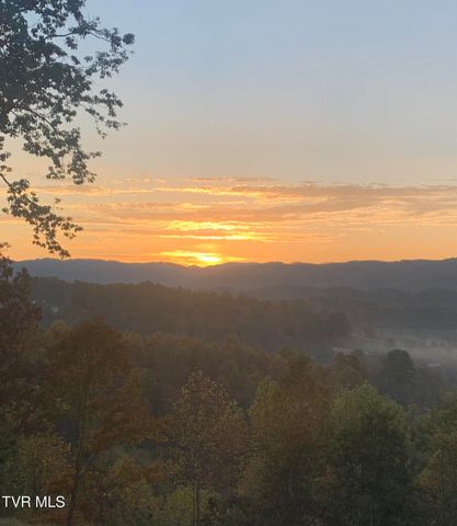 620 Swift Hollow Lane, Mountain City, TN 37683