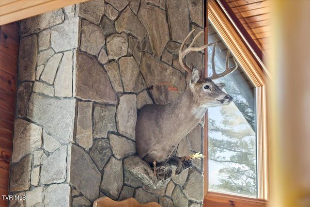 620 Swift Hollow Lane, Mountain City, TN 37683