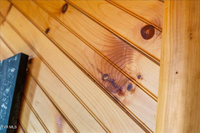 620 Swift Hollow Lane, Mountain City, TN 37683