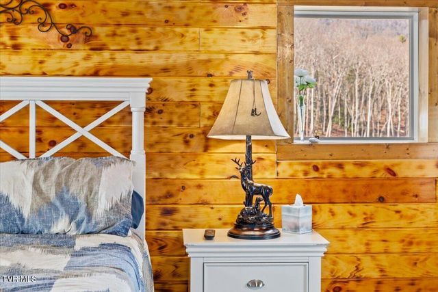 620 Swift Hollow Lane, Mountain City, TN 37683