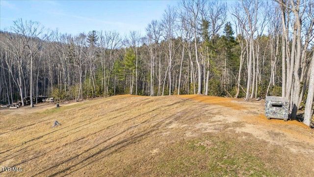 620 Swift Hollow Lane, Mountain City, TN 37683