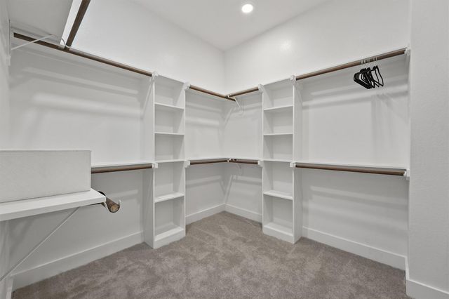 1517 Vermont Street D, Houston, TX 77006