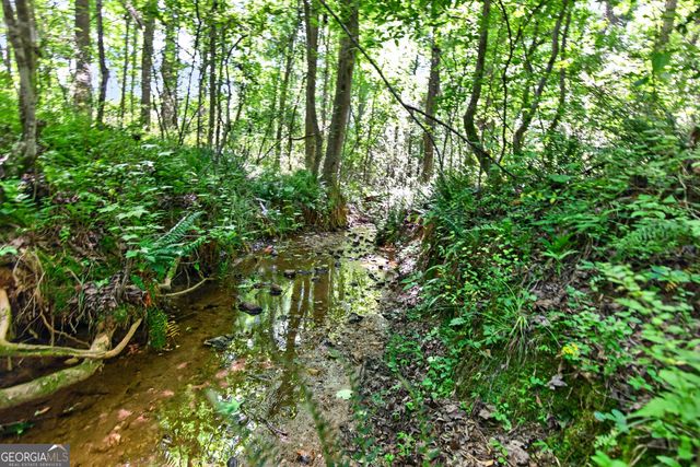 1764 Luther Bailey Road, Senoia, GA 30276