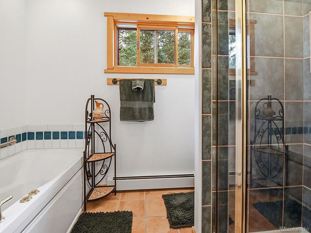 1407 Delwood Drive, Bailey, CO 80421