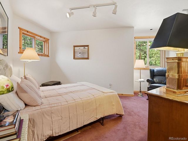 1407 Delwood Drive, Bailey, CO 80421