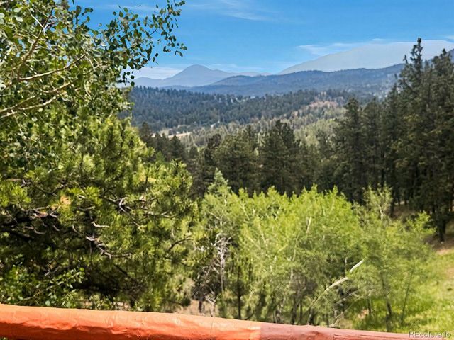 1407 Delwood Drive, Bailey, CO 80421