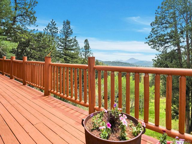 1407 Delwood Drive, Bailey, CO 80421