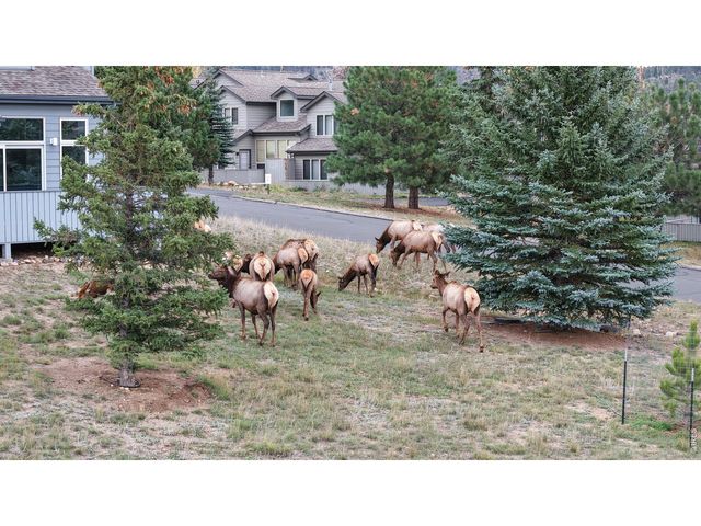 1555 Raven Cir C, Estes Park, CO 80517
