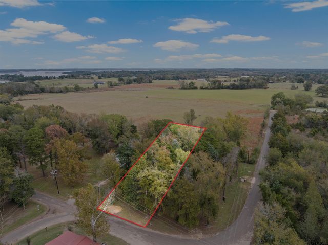 1010 County Road 2320, Pittsburg, TX 75686
